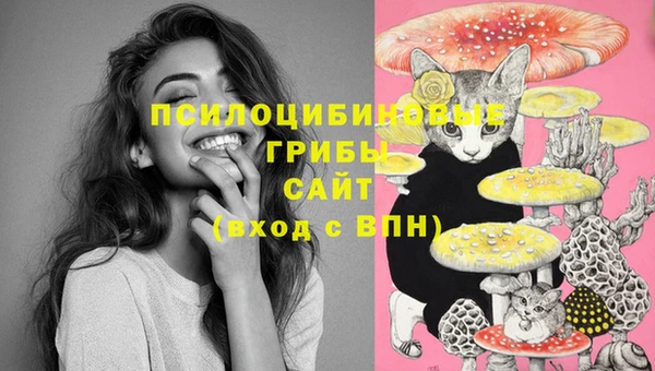 каннабис Абаза