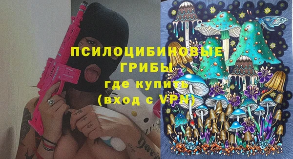 a pvp Алзамай