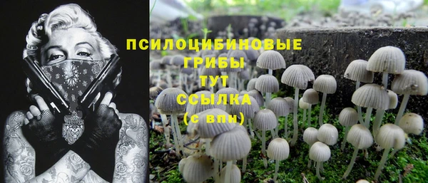 синтетический гашиш Абинск