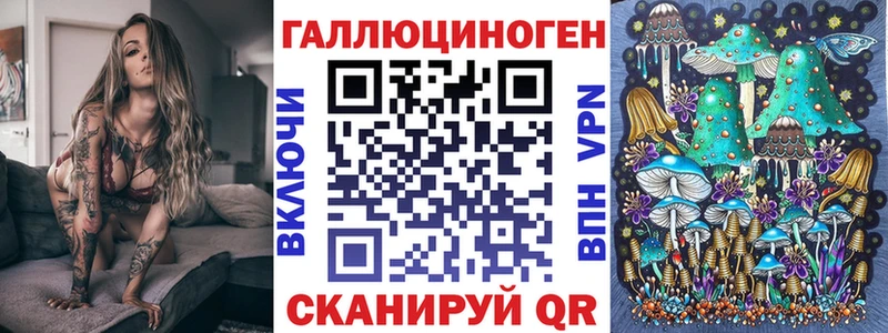 закладка  kraken вход  Псилоцибиновые грибы ЛСД  Каменногорск 