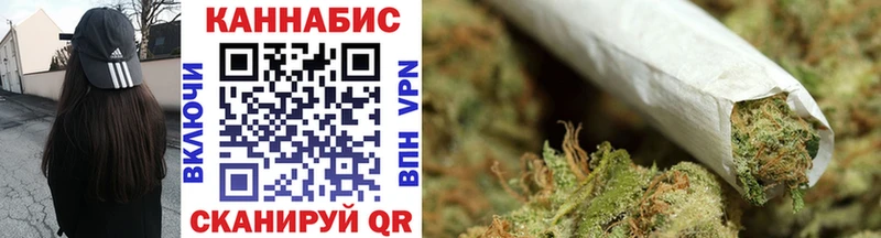 цены наркотик  Каменногорск  Бошки марихуана тримм 